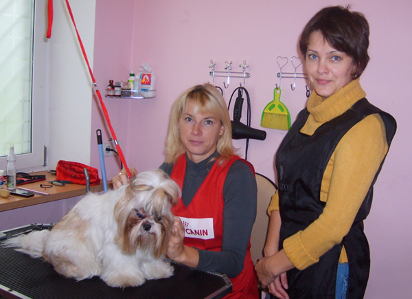 Экспресс-обучение грумингу Экспресс-обучение грумингу