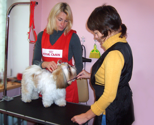 Практические занятия по грумингу Практические занятия по грумингу