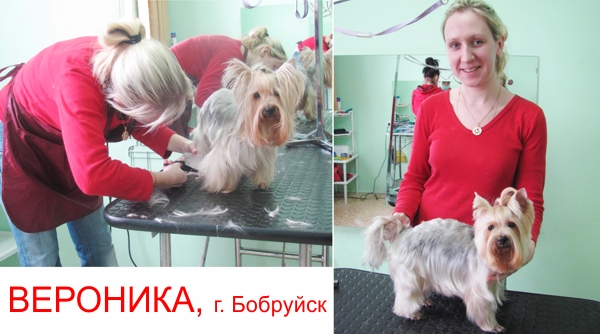 Выпускница курсов грумеров Вероника
