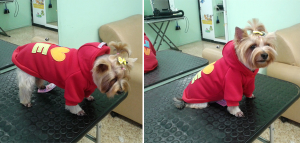 Зимний комбинезон для собак
