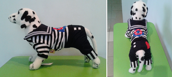 Зимняя одежда для собак: комбинезон "морячок" Зимняя одежда для собак: комбинезон "морячок"