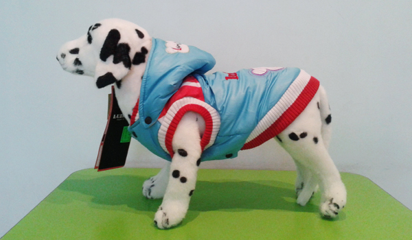 Зимняя одежда для собак: болониевый жилет