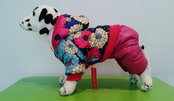 Зимняя одежда для собак: болоньевый комбинезон Зимняя одежда для собак: болоньевый комбинезон