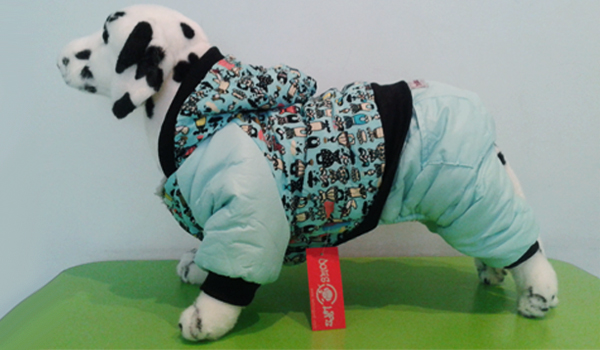 Зимняя одежда для собак: болоньевый комбинезон Зимняя одежда для собак: болоньевый комбинезон