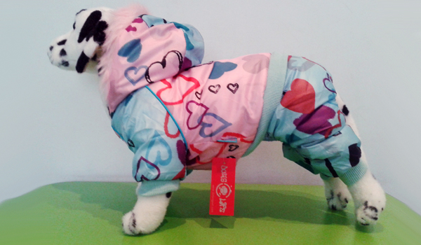 Зимняя одежда для собак: болоньевый комбинезон с сердечками Зимняя одежда для собак: болоньевый комбинезон с сердечками