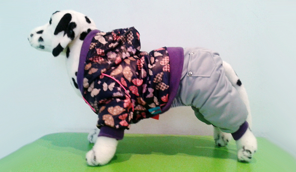 Зимняя одежда для собак: болоньевый комбинезон с бабочками Зимняя одежда для собак: болоньевый комбинезон с бабочками