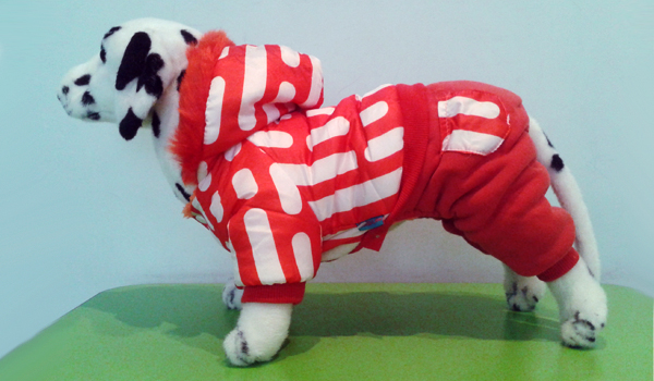 Зимняя одежда для собак: болоньевый комбинезон красный Зимняя одежда для собак: болоньевый комбинезон красный