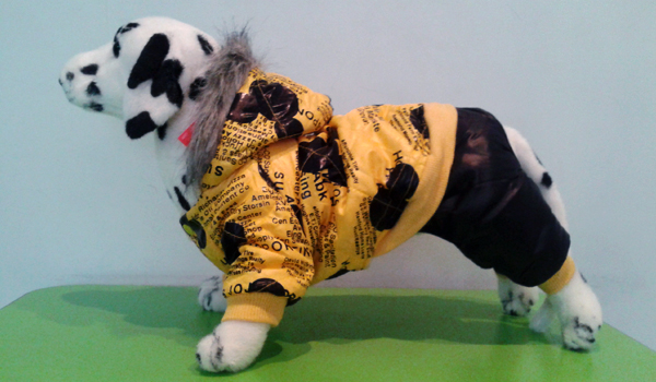 Зимняя одежда для собак: болоньевый комбинезон с принтами Зимняя одежда для собак: болоньевый комбинезон с принтами