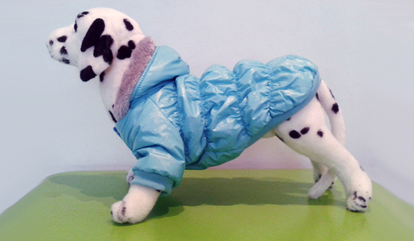 Зимняя одежда для собак: болоньевая попона голубая Зимняя одежда для собак: болоньевая попона голубая