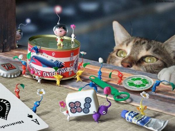 опасные игрушки для кошки