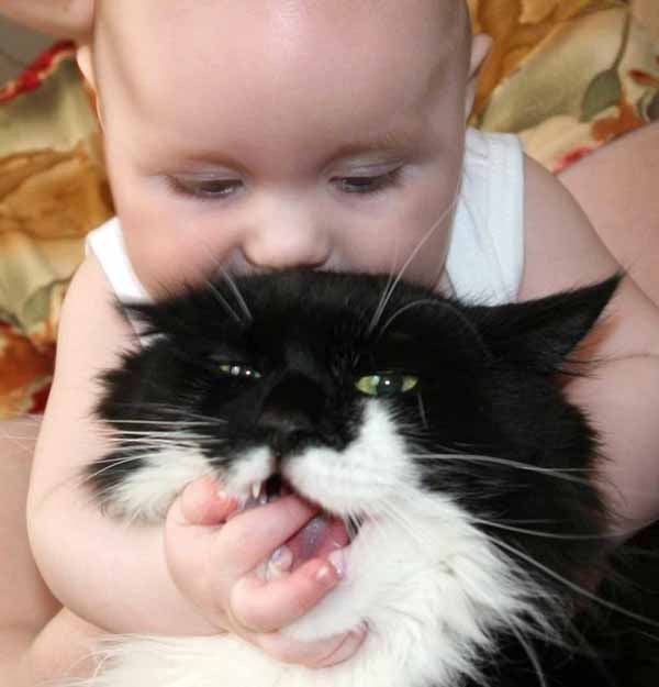 Ребенок и кошка Ребенок и кошка