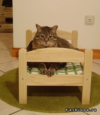 Личная кошачья кровать
