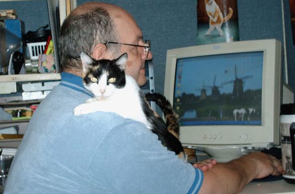 Кот и любимый хозяин