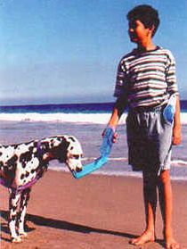 Портативная поилка для собак Handi-Drink