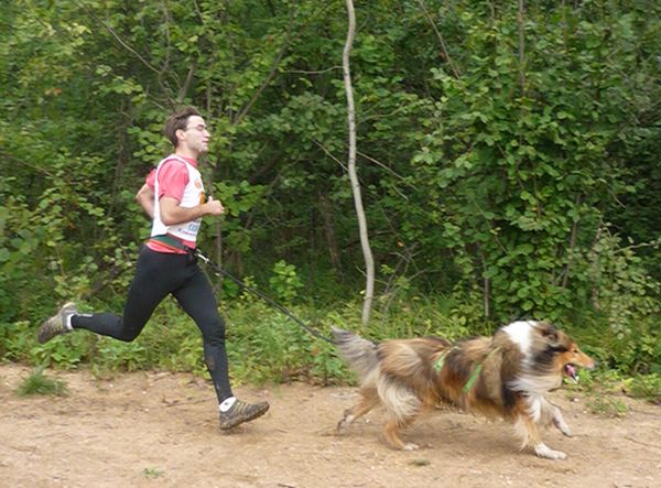 Каникросс Каникросс