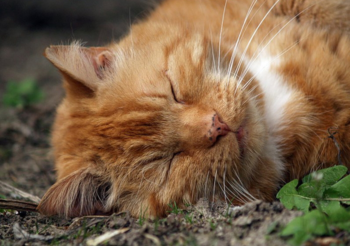 Послеоперационный уход Послеоперационный уход