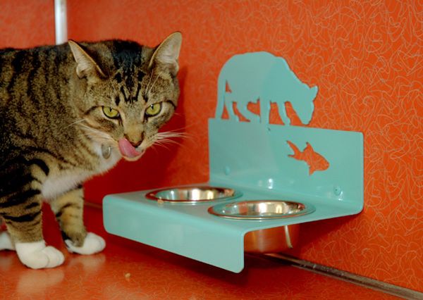 Завтрак кота