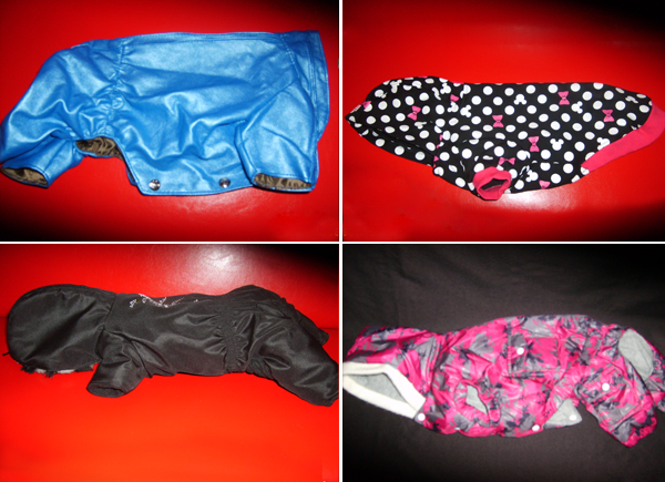 Разнообразная одежда для собак Разнообразная одежда для собак