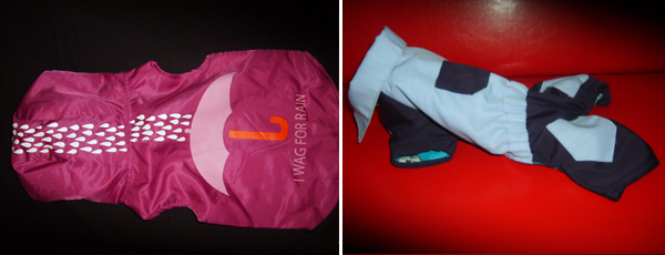 Одежда собакам Одежда собакам