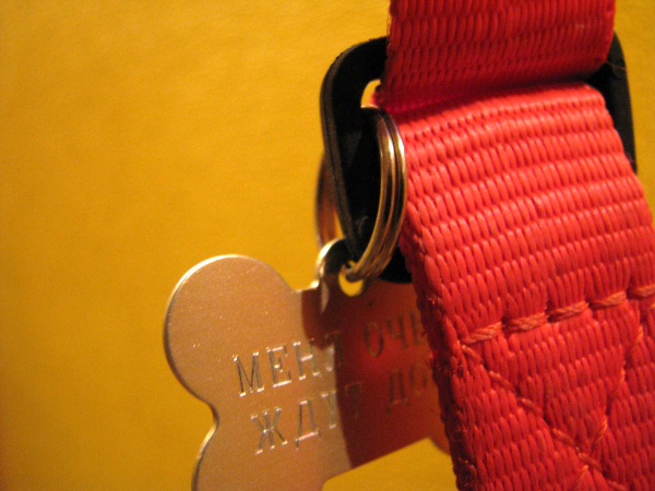 Бирка на ошейнике для собак