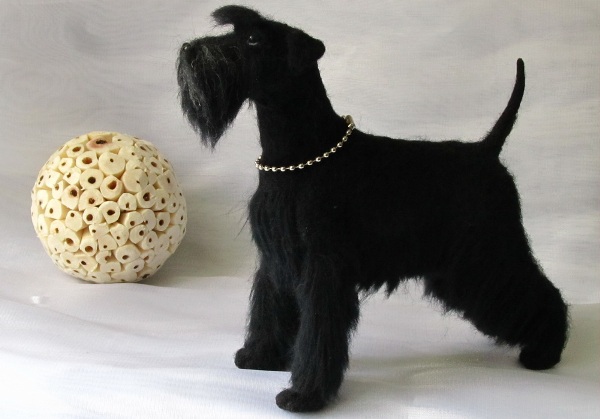 Черный цвегршнауцер Черный цвегршнауцер