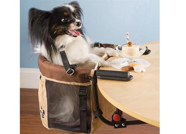 "Стульчик для собаки" "Стульчик для собаки"