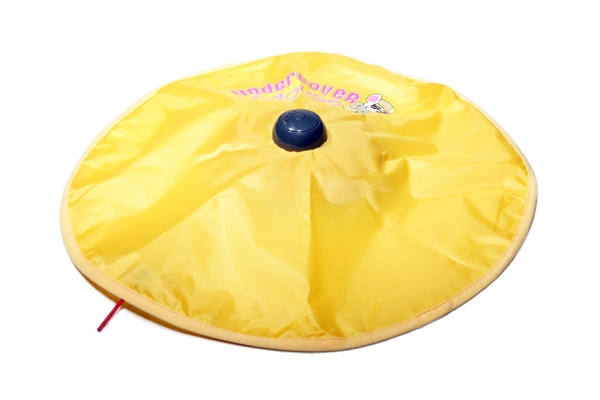 “Мышь под ковриком” “Мышь под ковриком”