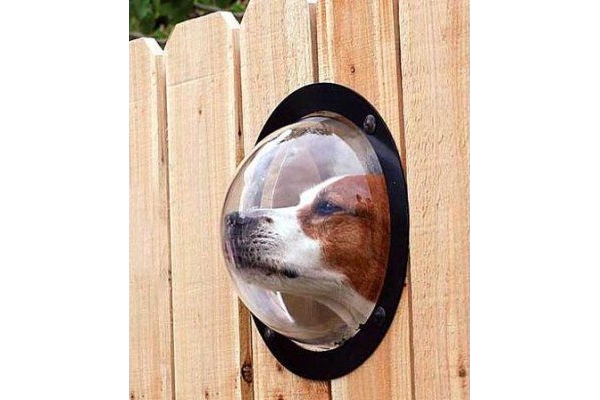 "Иллюминатор для собак" "Иллюминатор для собак"