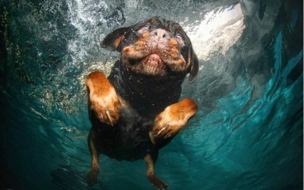 Под водой