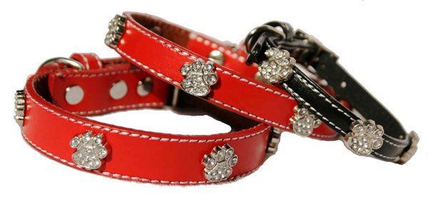 Красивые ошейники для маленьких собак Красивые ошейники для маленьких собак