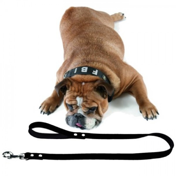 С какого возраста необходимо приучать собаку к ошейнику и поводку? С какого возраста необходимо приучать собаку к ошейнику и поводку?