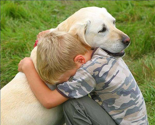 Гуманная эвтаназия Гуманная эвтаназия