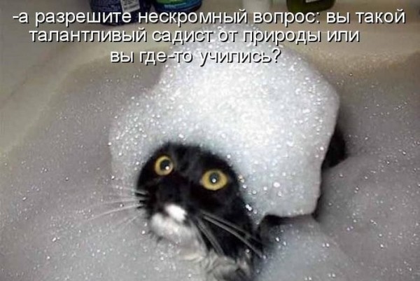 Садист. Хэллоуин