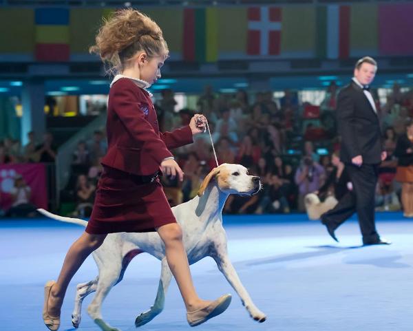 Юный хендлер