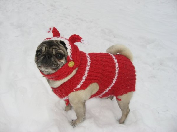 Новогодний костюм