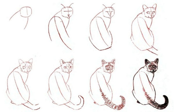 Как нарисовать кошку