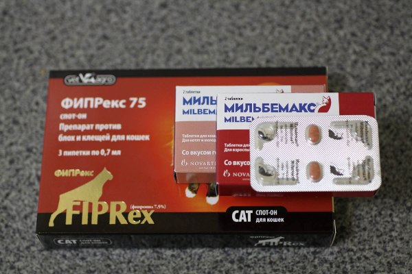 Оральные медикаменты от блох