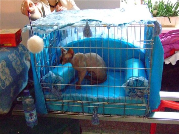 Уютная клетка- залог спокойствия на выставке