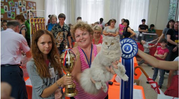 Титулы собак и кошек на выставках