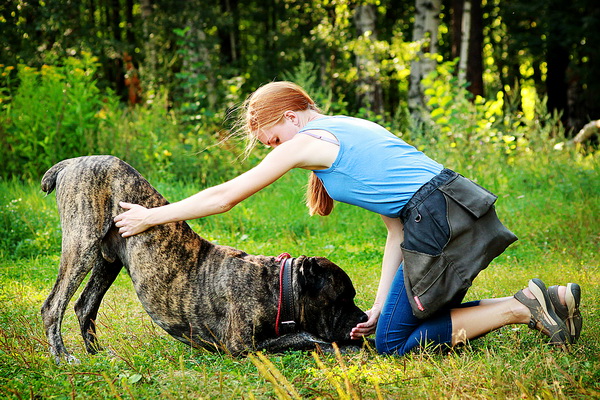 Команда "Поклон!" Команда "Поклон!"