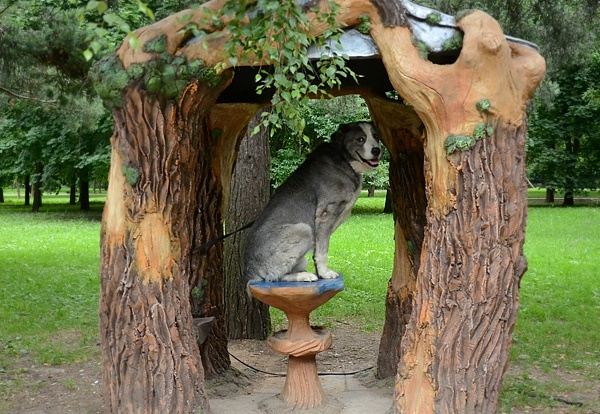 Все команды с удовольствием