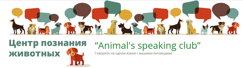 Центр познания животных &laquo;Animal&rsquo;s speaking club&raquo; призывает: говорите на одном языке с вашими питомцами!