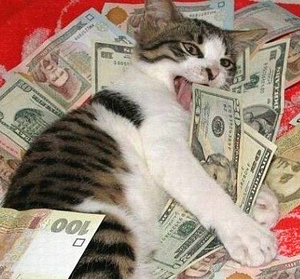 Кошка на миллион