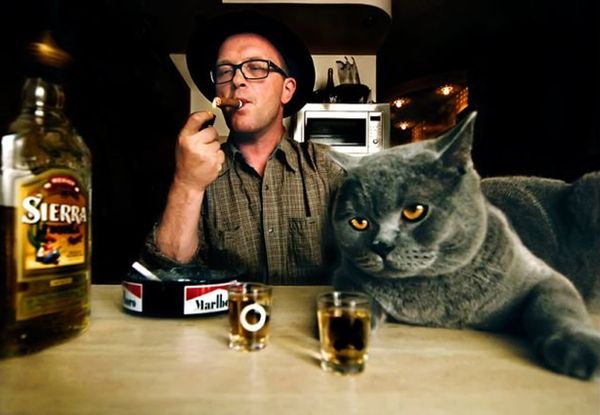 Приятная компания Приятная компания