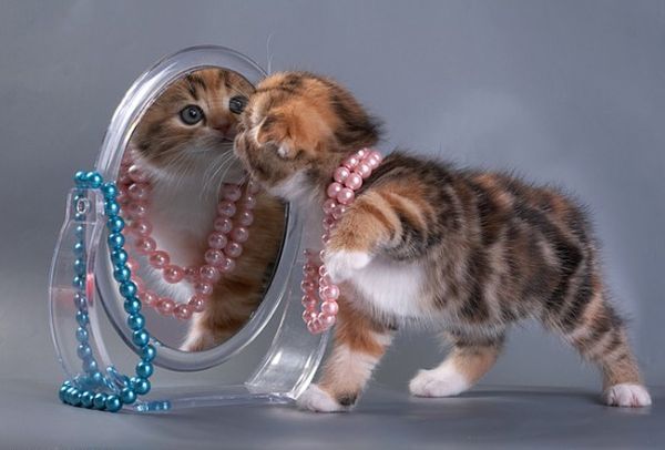 Выбор Выбор