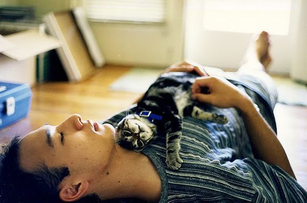 Приятный отдых Приятный отдых