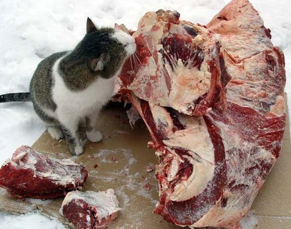 Хороший аппетит