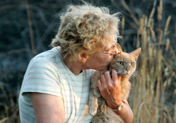 Поцелуй с кошкой Поцелуй с кошкой