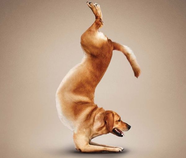 Баддха Конасана – поза косого угла