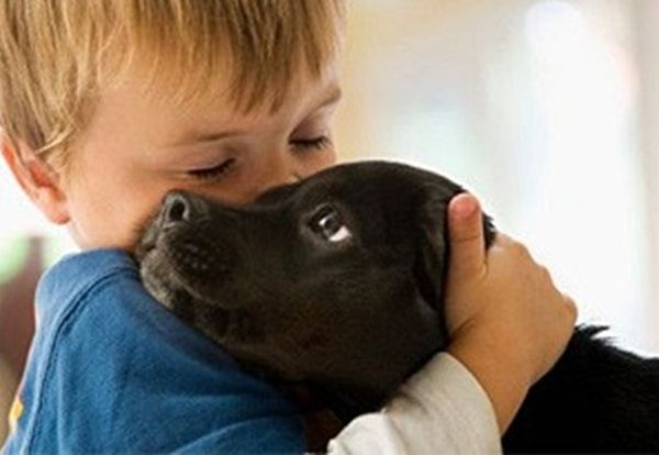 Ребенок и собака Ребенок и собака